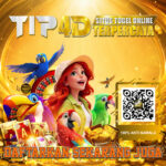 TIP4D Situs Togel Online Terpercaya dengan Daftar Mudah, Bonus Menarik, Pelayanan Profesional, dan Jackpot Terbesar Hari Ini